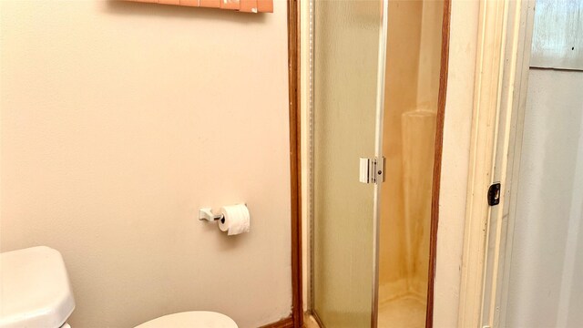 430 Hooks Rd, Livingston, TX 77351 - bathroom with toilet and a stall shower