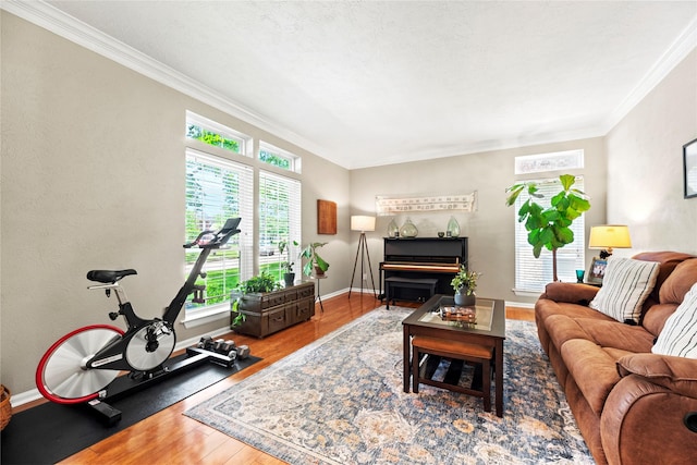 7818 Palm Brook Ct, Houston, TX 77095 - living area with crown molding, wood finished floors, and baseboards