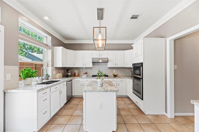 7818 Palm Brook Ct, Houston, TX 77095 - kitchen with a sink, under cabinet range hood, appliances with stainless steel finishes, tasteful backsplash, and crown molding