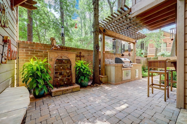 322 Sugarberry Cir, Houston, TX 77024 - fenced backyard with a patio and a pergola