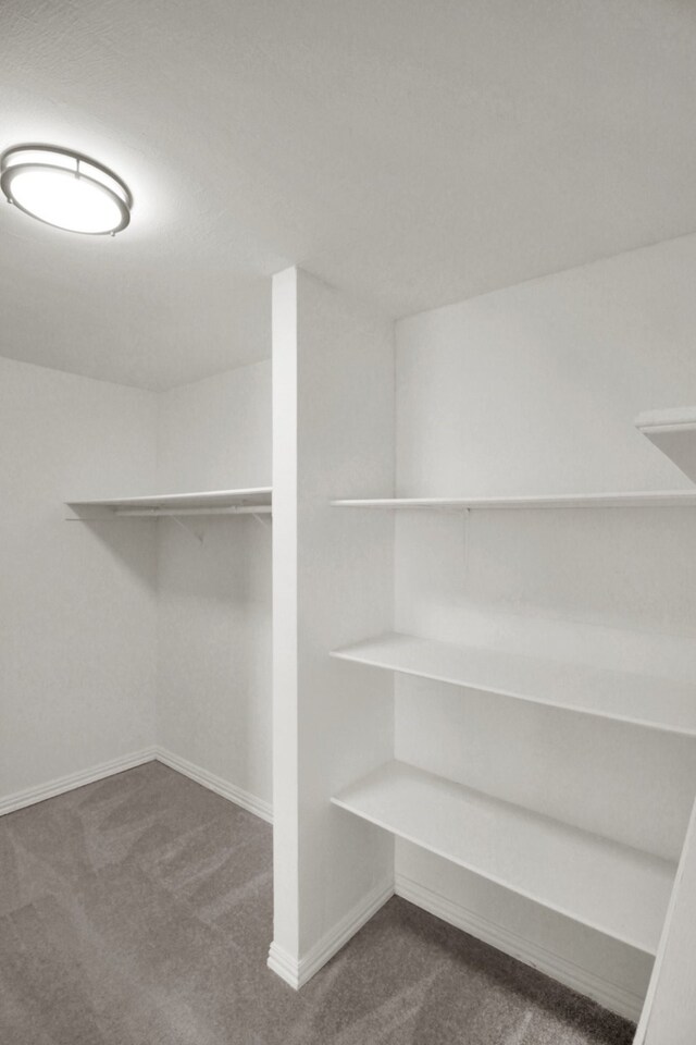 1101 2nd Ave N, Texas City, TX 77590 - walk in closet with carpet flooring