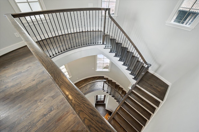 1124 Mosaico Ln, Houston, TX 77055