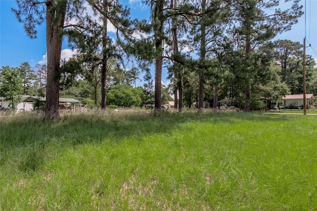 LOT15 Hermitage St, Trinity, TX 75862
