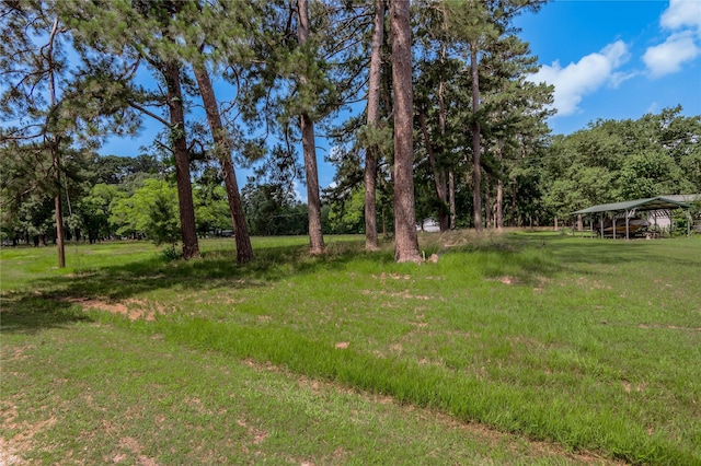 LOT15 Hermitage St, Trinity, TX 75862