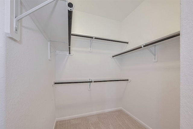 9715 Deborah Colony Ln, Humble, TX 77396 - walk in closet featuring carpet flooring
