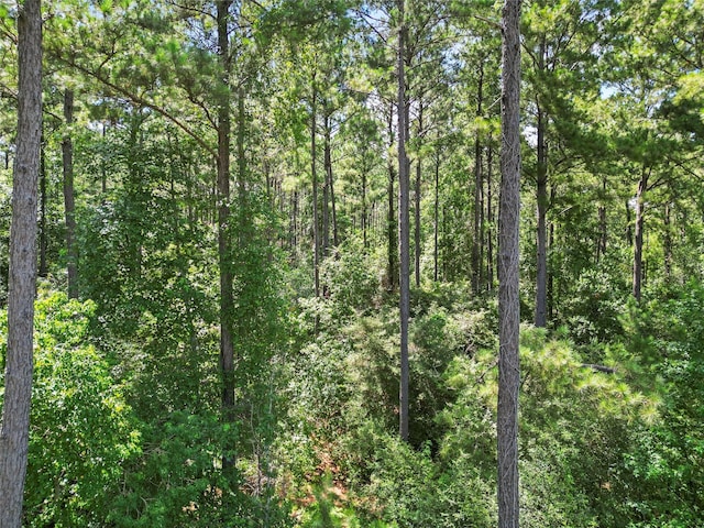 LOT77 Wagon Pass Dr, Huntsville, TX 77340