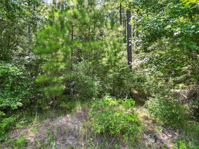 LOT77 Wagon Pass Dr, Huntsville, TX 77340