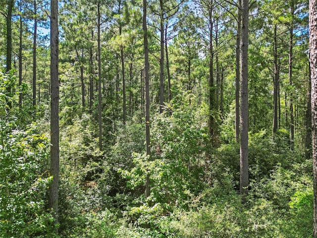 LOT77 Wagon Pass Dr, Huntsville, TX 77340