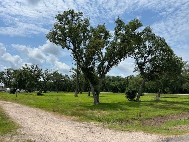 6018 County Road 802, Brazoria, TX 77422