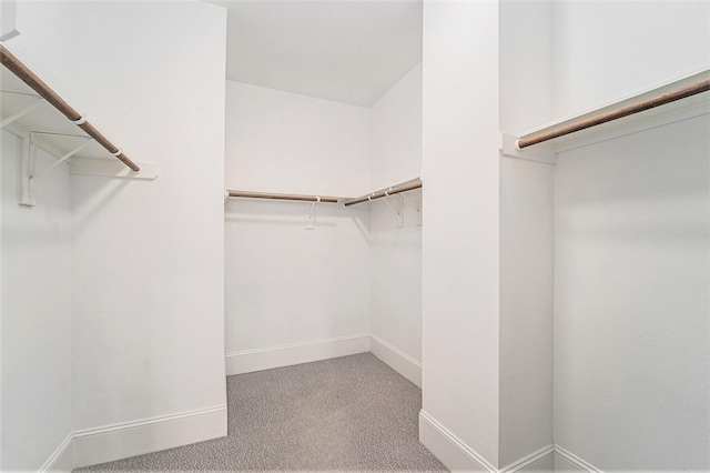 1266 N Post Oak Rd Unit B, Houston, TX 77055 - walk in closet with carpet floors