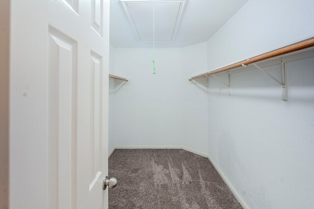 21106 Scenic Bluff Ln, Humble, TX 77338 - spacious closet featuring attic access and carpet