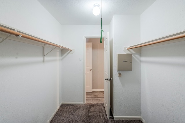 21106 Scenic Bluff Ln, Humble, TX 77338 - walk in closet featuring carpet