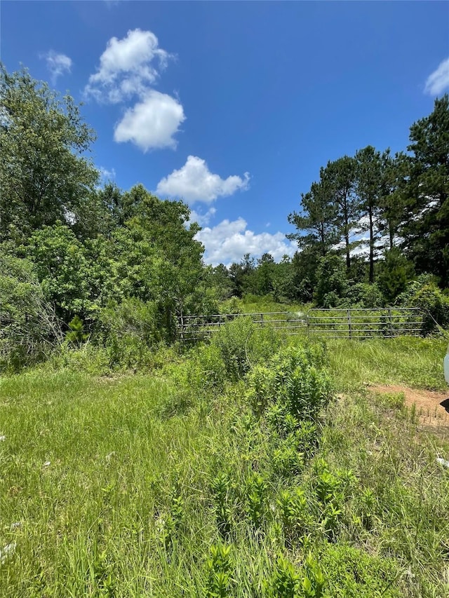 240 County Road 341, Cleveland, TX 77327