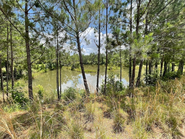 240 County Road 341, Cleveland, TX 77327