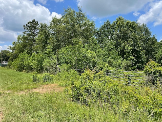 240 County Road 341, Cleveland, TX 77327