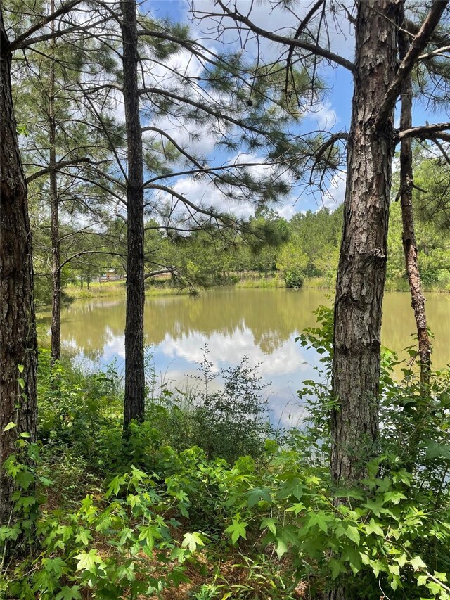 240 County Road 341, Cleveland, TX 77327