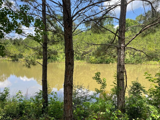 240 County Road 341, Cleveland, TX 77327