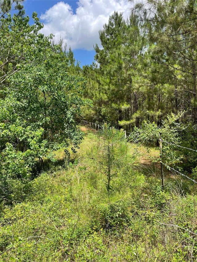 240 County Road 341, Cleveland, TX 77327