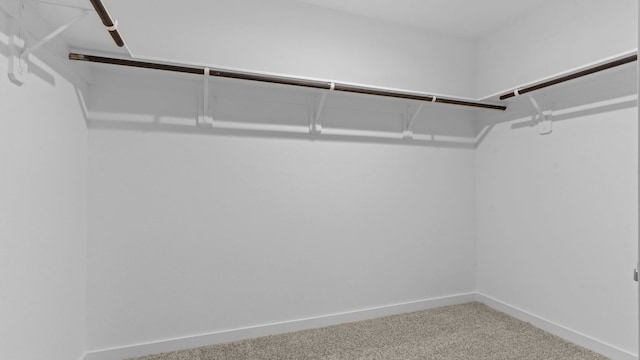 1823 Revolution Way, Missouri City, TX 77489 - spacious closet with carpet floors