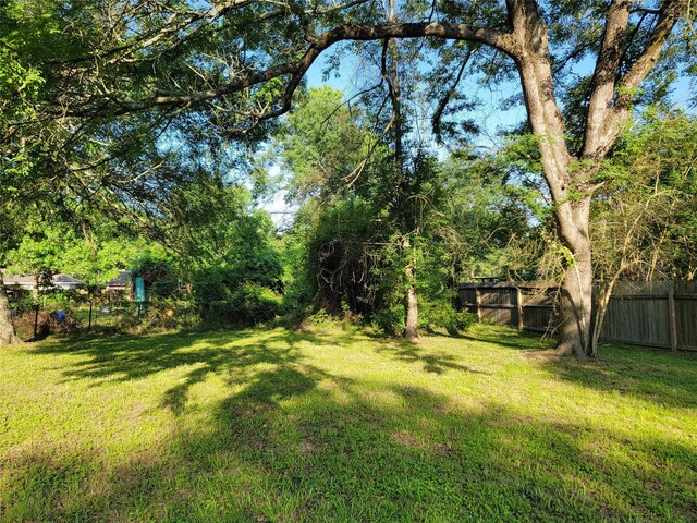203 N Forest Dr, Willis, TX 77378 - photo 3