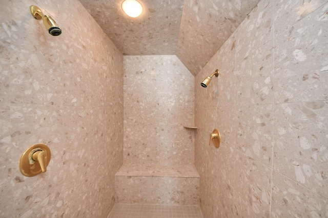 3820 Purdue St, Houston, TX 77005 - full bathroom with tiled shower