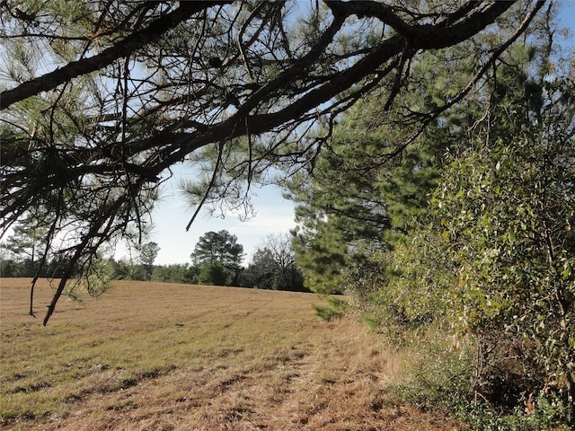 15686 Fm 2620th Rd, Bedias, TX 77831
