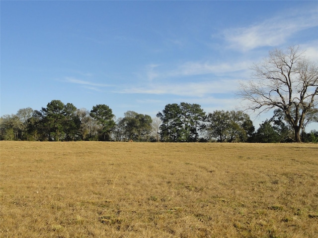 15686 Fm 2620th Rd, Bedias, TX 77831