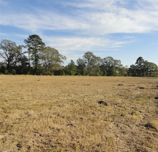 15686 Fm 2620th Rd, Bedias, TX 77831