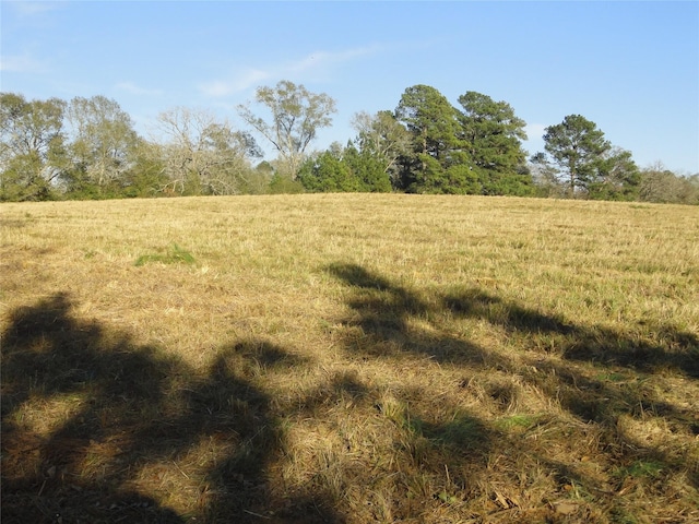15686 Fm 2620th Rd, Bedias, TX 77831
