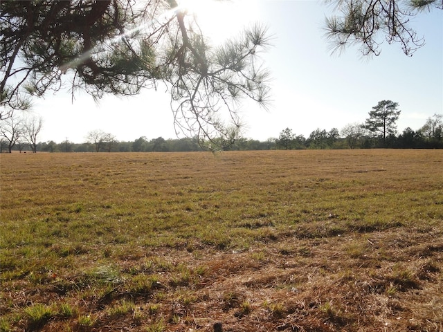 15686 Fm 2620th Rd, Bedias, TX 77831