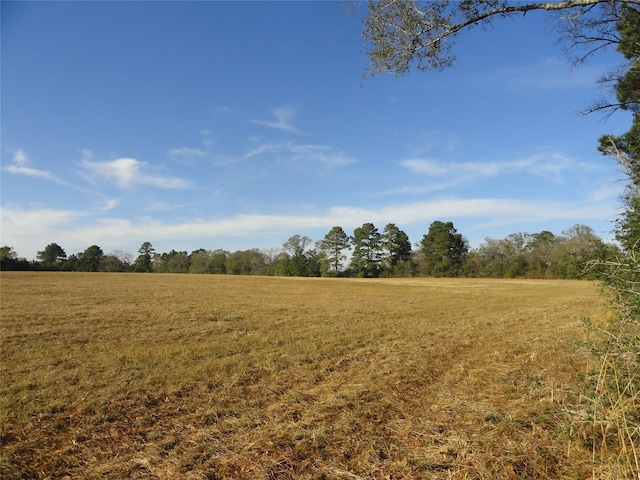 15686 Fm 2620th Rd, Bedias, TX 77831