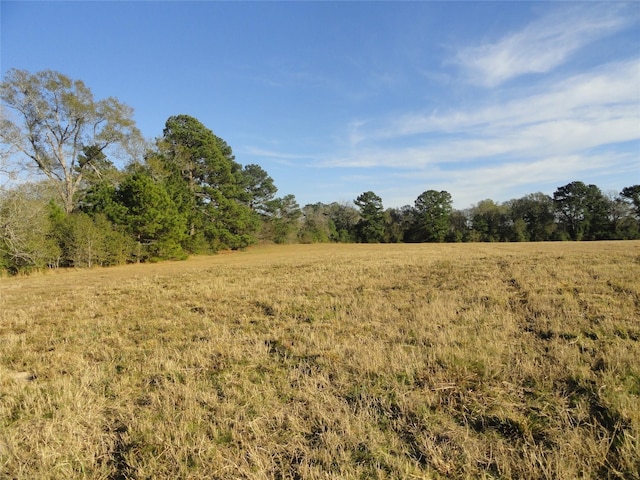 15686 Fm 2620th Rd, Bedias, TX 77831