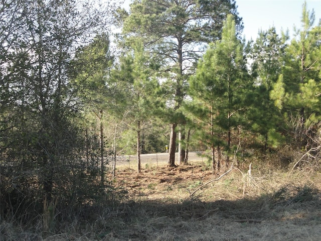 15686 Fm 2620th Rd, Bedias, TX 77831