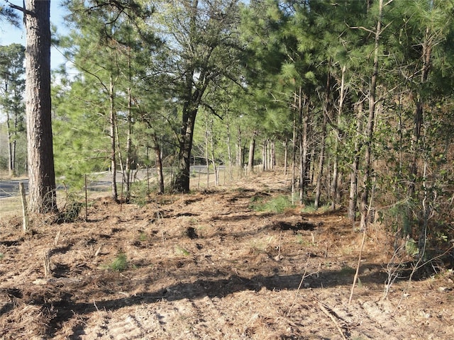 15686 Fm 2620th Rd, Bedias, TX 77831