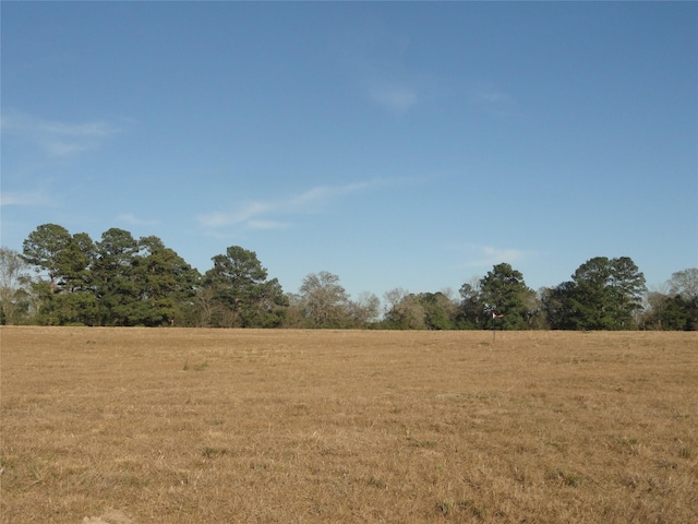 15686 Fm 2620th Rd, Bedias, TX 77831