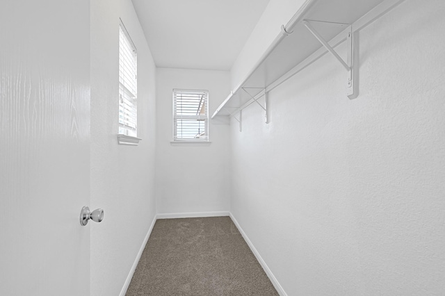 19311 Old Finch Ct, Houston, TX 77073 - walk in closet featuring carpet