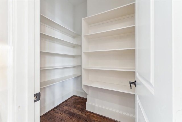 3917 Gramercy St, Houston, TX 77025 - view of pantry