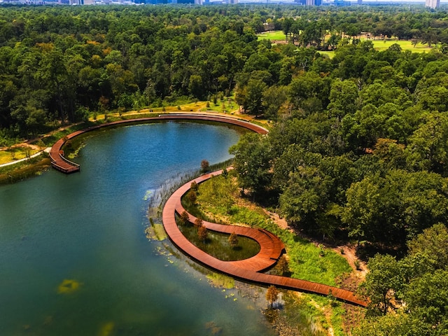 2301 Arabelle St, Houston, TX 77007 - view of urban area with a large body of water and a heavily wooded area