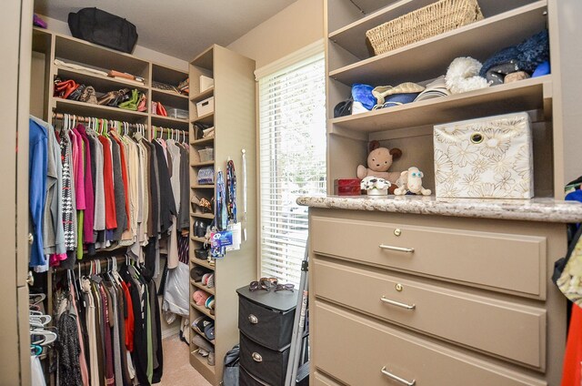 13023 Forester Canyon Ln, Sugar Land, TX 77498 - spacious closet featuring carpet floors