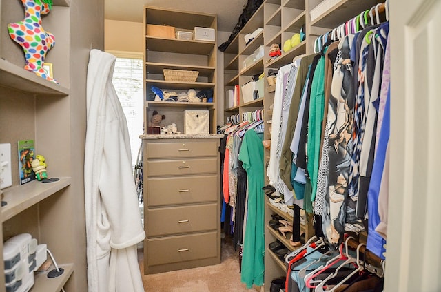 13023 Forester Canyon Ln, Sugar Land, TX 77498 - walk in closet featuring light carpet