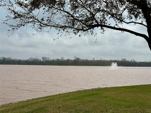 13023 Forester Canyon Ln, Sugar Land, TX 77498 - view of property's community with a water view and a forest view