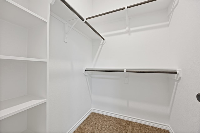 16960 W Dounreay, Montgomery, TX 77316 - walk in closet featuring carpet