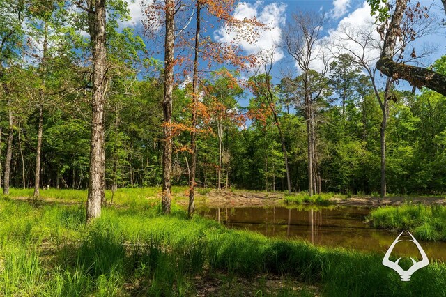 00 Fm 83, Bronson, TX 75930 - photo 25