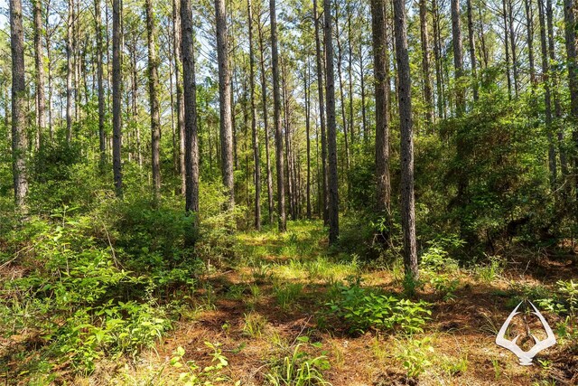 00 Fm 83, Bronson, TX 75930 - photo 26