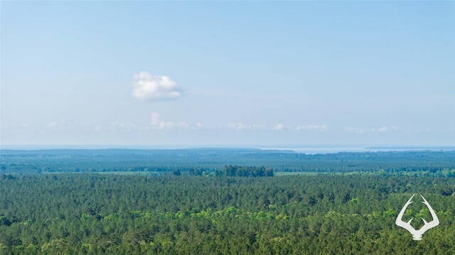00 Fm 83, Bronson, TX 75930 - photo 3