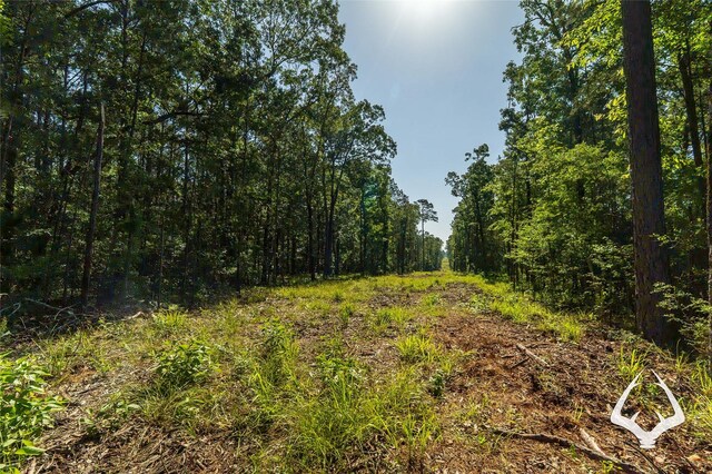 00 Fm 83, Bronson, TX 75930 - photo 6