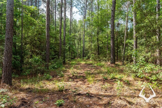 00 Fm 83, Bronson, TX 75930 - photo 32