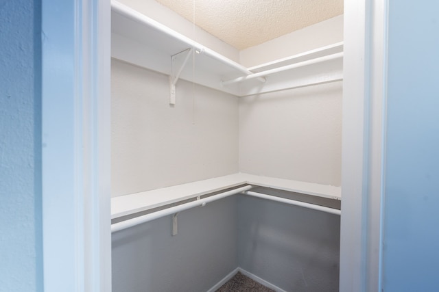 2302 Peaceful Valley Dr, Spring, TX 77373 - view of walk in closet