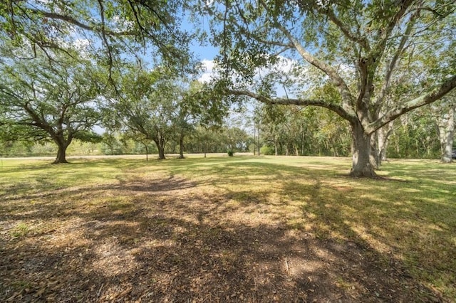 7221 County Road 208, Danbury, TX 77534 - photo 20