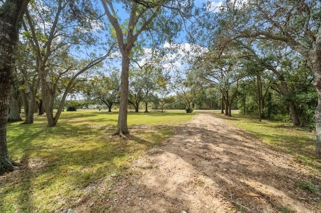 7221 County Road 208, Danbury, TX 77534 - photo 21